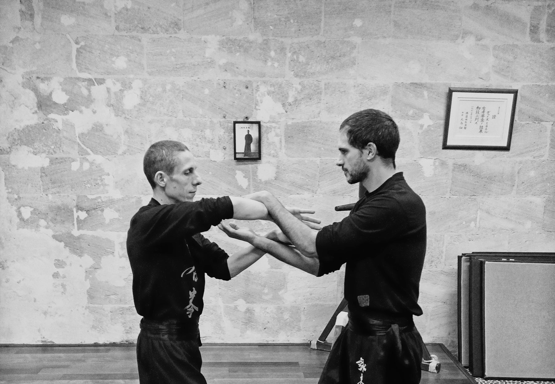 Josse Delaune et Damien Spieser en application technique de Wing Chun