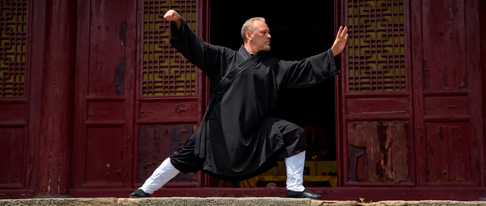 Stage de Taichi Wudang avec Maitre Charles Henri Belmonte 10 février 2019